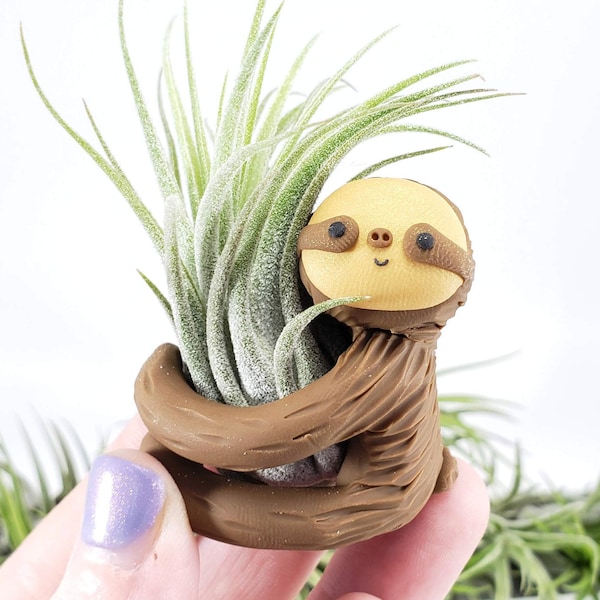 Sloth Air Plant Holder, Valentines Day, Small Sloth Planter, Valentine Gift Idea, Small Air Planter, Desk Accessory, Gift for Her