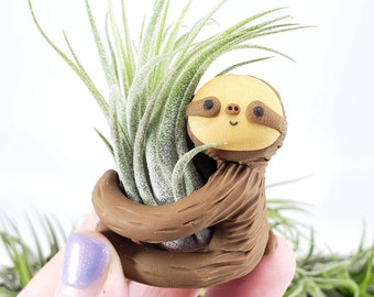 Sloth Air Plant Holder, Mothers Day, Small Sloth Planter, Gift for Mom, Small Air Planter, Desk Accessory, Gift for Her, Small Gift