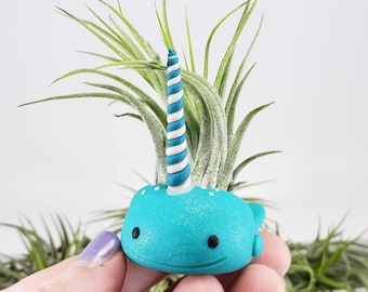 Narwhal Air Plant Holder, Ocean Decor, Cute Desk Decor, Cute Narwhal Figurine, Small Planter, Mom Gift, Narwhal Gift