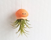 Jellyfish Air Plant, Hanging Air Plant, kawaii Gift, Orange Jellyfish Planter, Modern Decor, Ocean Decor, Gift for Her, housewarming Gift
