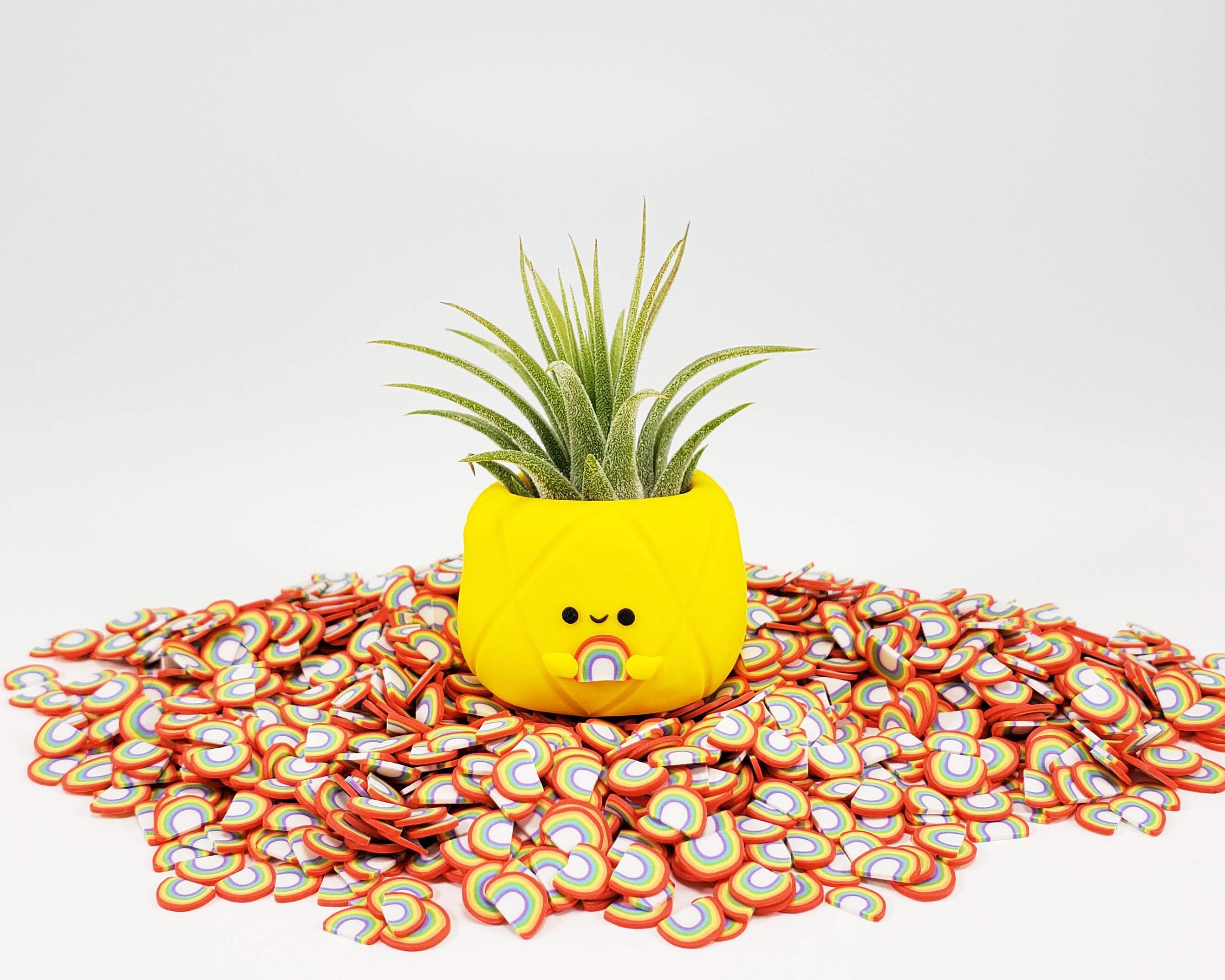 Rainbow Pineapple Air Plant Holder Pineapple Decor Small Etsy