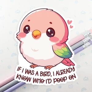 May include: A pink and green cartoon bird sticker with the text "If I was a bird, I already know who I'd poop on".