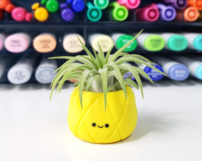 Pineapple Air Plant Holder Kawaii Pineapple Decor Small Etsy