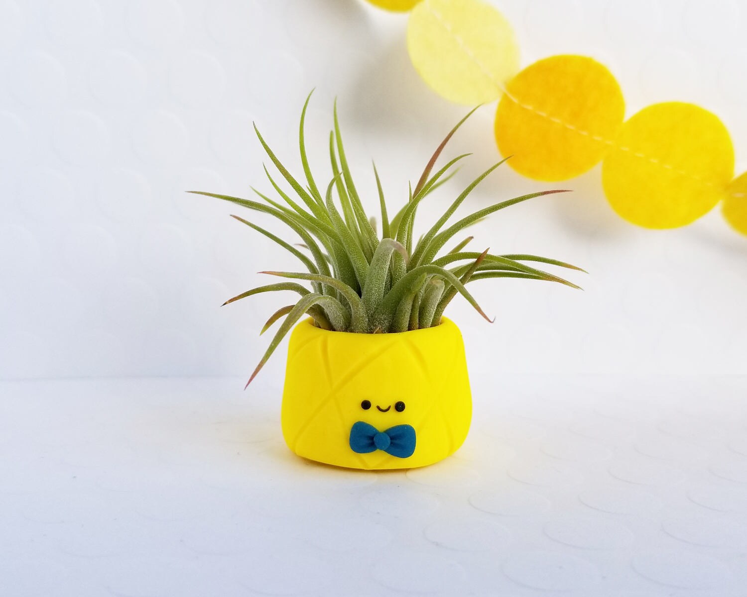 Pineapple Air Plant Gift for Him Pineapple Planter Air Etsy