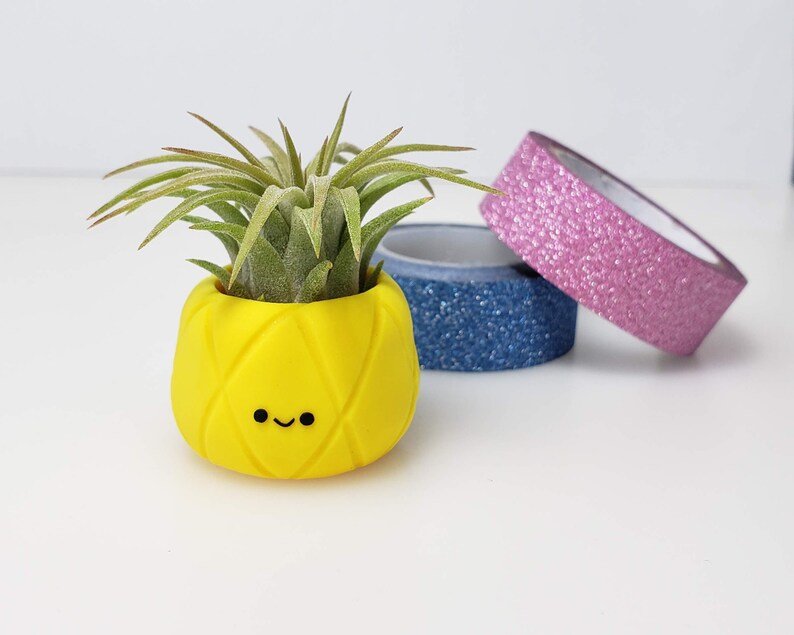 Pineapple Air Plant Holder Kawaii Pineapple Decor Small Etsy