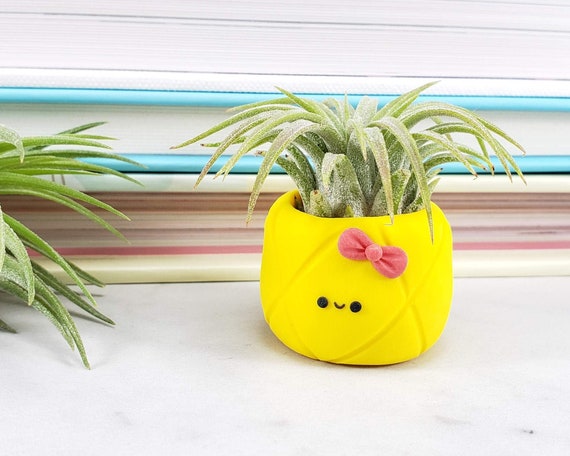 plant gift for girlfriend