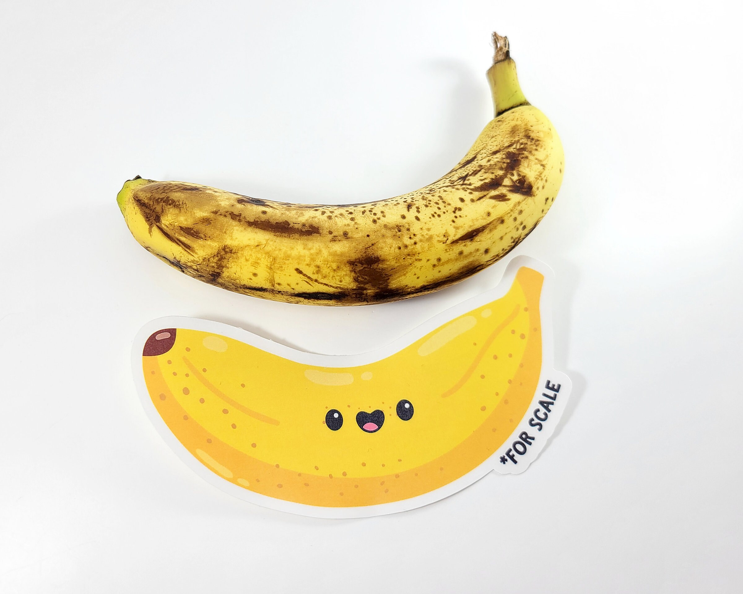 Banana for Scale Sticker: Funny Kawaii Vinyl Decal - Etsy Canada