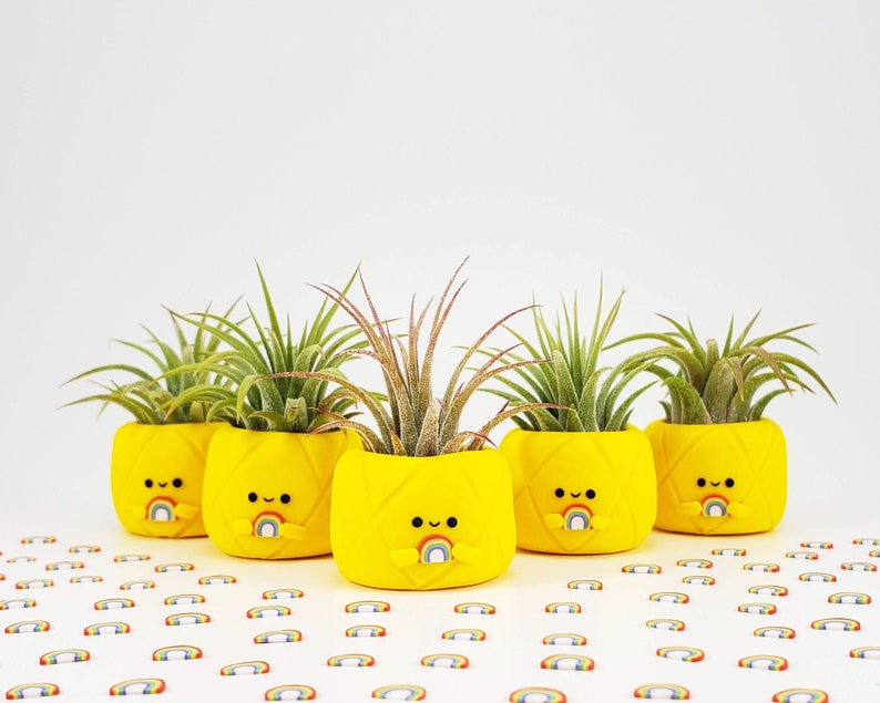 Rainbow Pineapple Air Plant Holder Pineapple Decor Small Etsy