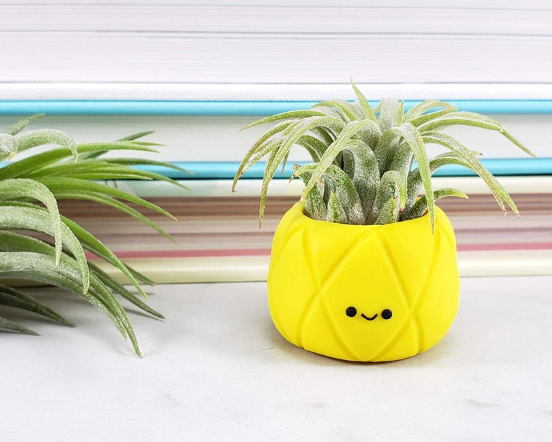 Pineapple Air Plant Holder kawaii Pineapple Decor Small Etsy