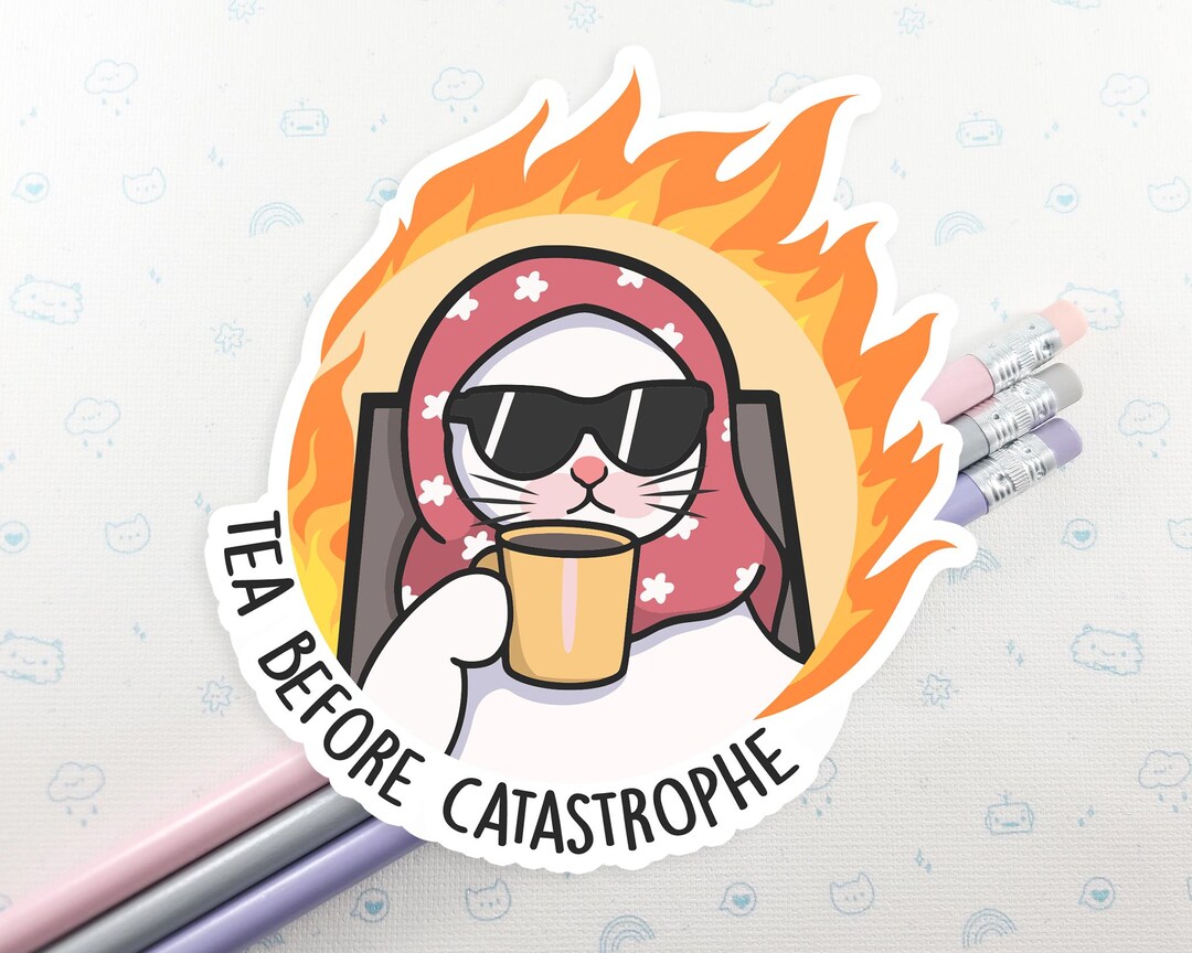 World on Fire Cat Meme Sticker: Funny Laptop Decal - Etsy