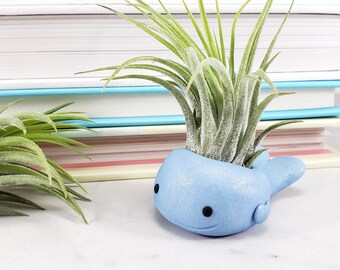 Blue Whale Air Plant Holder, Air Planter, Whale Decor, Mom Gift, Air Plant Gift, Ocean Desk Accessory, Blue Whale, Gift for Her