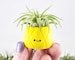 Pineapple Air Plant Holder, Small Gift Idea, Pineapple Decor, Small Pineapple Desk Accessory, Cute Planter, Gift for Her, office gift
