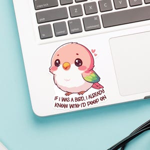 May include: A pink and green cartoon bird sticker with the text "If I was a bird, I already know who I'd poop on".