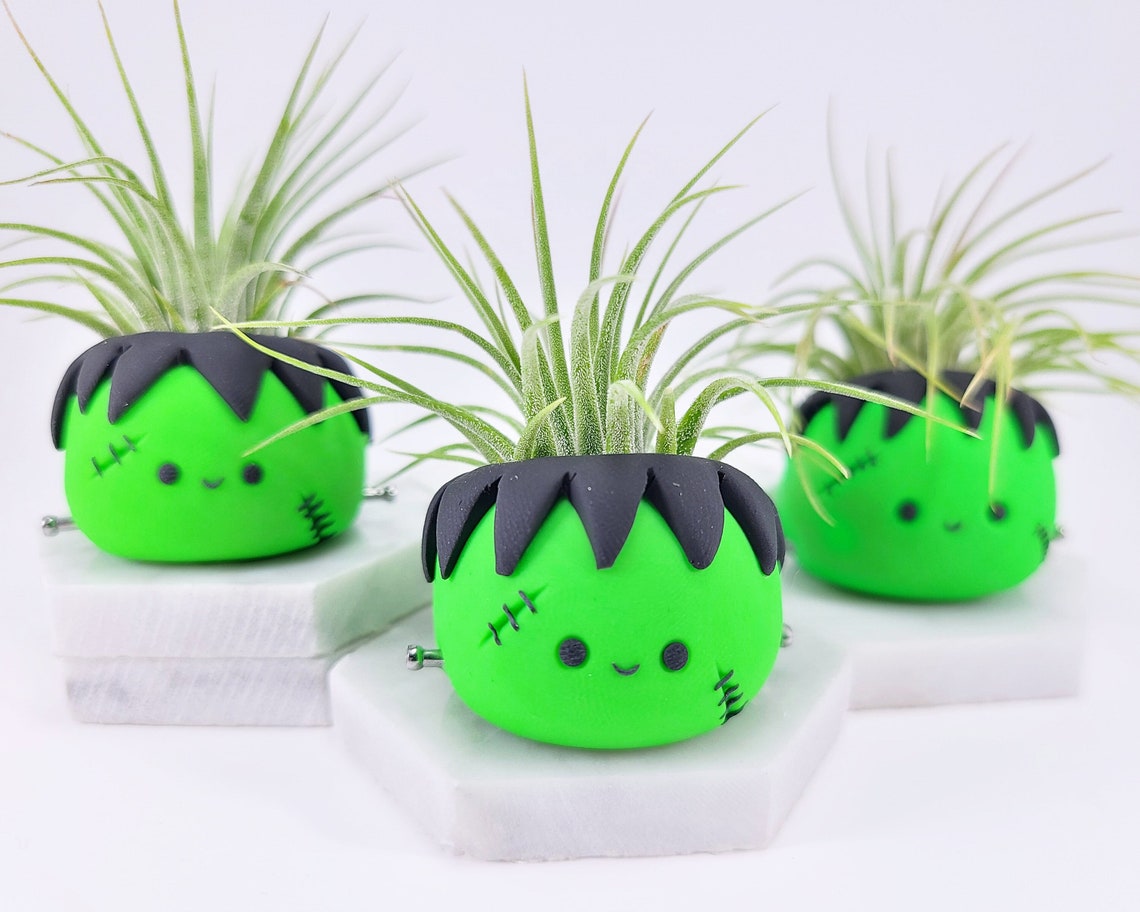 Halloween Frankenstein Air Plant Holder Spooky Gift Etsy