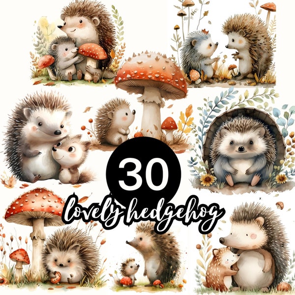 Watercolor hedgehog lovely 30png transparent background clipart cute mushroom, family flower botanical