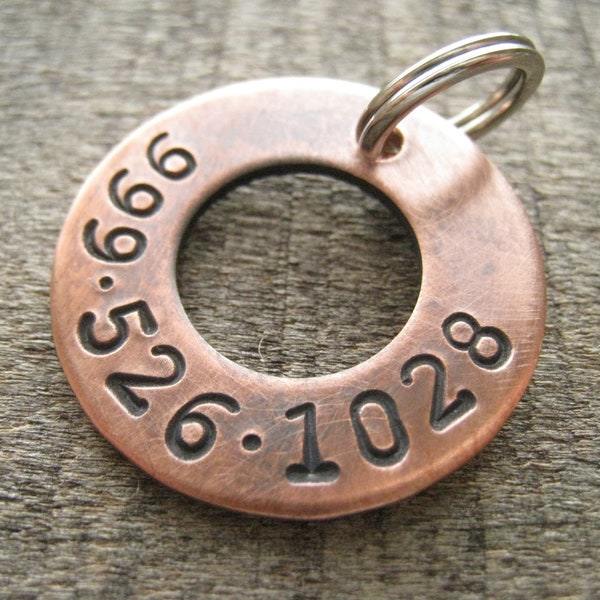 Companion Phone Number Washer Tag - Personalized Pet Tag - Dog Collar Tag - Microchipped Pet Tag - Washer