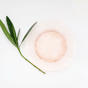 Puede incluir: Un plato de postre de vidrio rosa pálido con un borde ligeramente ondulado. El plato está sobre un fondo blanco con un tallo de planta verde a la izquierda.