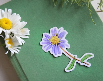 Pegatina de flores silvestres - Pegatina de vinilo de acuarela Aster - Ilustración botánica, Pegatinas de flores, Pegatina floral, Pegatinas de plantas nativas