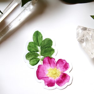 May include: Watercolor sticker of a pink flower with a yellow center and green leaves. Two clear quartz crystals and green leaves are also visible on a white background. The flower sticker has a white border.