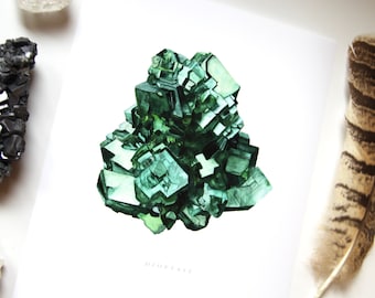 May include: A watercolor painting of a green dioptase crystal cluster. The crystal is a deep green color and has a rough, textured surface. The painting is on a white background with the word "DIOPTASE" written below the crystal.