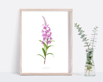 May include: A framed print of a watercolor illustration of a pink fireweed flower with green leaves. The print is on white paper and has the word "Fireweed" printed below the flower.