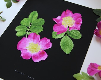Rostryck - Vildros botanisk illustration - Rosmålning, botaniskt konsttryck, akvarell gicléetryck, väggkonst med vildblommor, rostryck