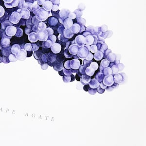 Grape Agate Crystal Art Print- Watercolor Crystal Art, Mineral Art, Gemstone Art Print, Geology Print, Grape Chalcedony