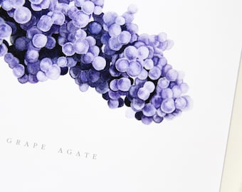 May include: A watercolour painting of a grape agate, a type of gemstone that resembles a cluster of grapes. The agate is a deep purple colour and has a smooth, polished surface. The painting is on a white background with the text "GRAPE AGATE" written below the agate.