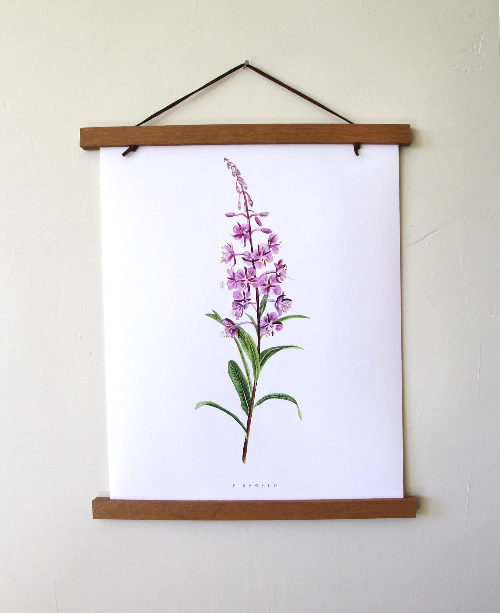 Fireweed Art Print Watercolor Fireweed Fireweed Botanical - Etsy
