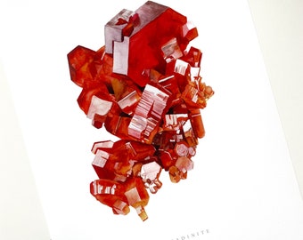May include: A watercolor painting of a red vanadinite crystal cluster. The crystal is a deep red color and has a shiny, glassy surface. The painting is on a white background and the word "VANADINITE" is written in black at the bottom of the image.