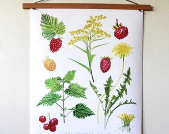 Der Forager Nr. 1- essbare Wild Foods Poster, Futter poster, essbare und Heilpflanzen Plakat