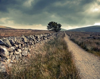 Wall With Road, original fine art photography, print, landscape, grass, field, scotland, hill, woods, pentland, edinburgh, sky, dark, rain