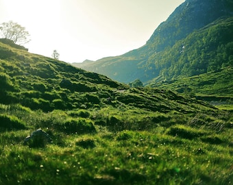 Glen Nevis, original Fine Art-Fotografie, Grafik, Landschaft, Straße, 8 x 12, Pfad, Highland, Schottland, Berg, Wald, Wald, morgen, Tal