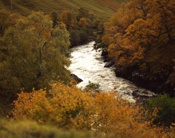 Glen Tilt 12, original fine art photography, print, landscape, river, scotland, blair atholl, autumn, hills, forest, woods, water, brown