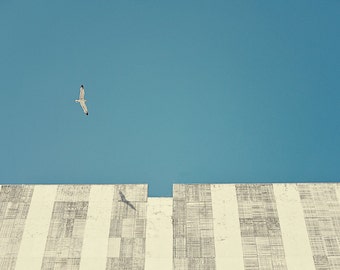 Gebäude Wellen in original Fine Art-Fotografie, Grafik, Natur, 8 x 12, quadratisch, Sommer, blau, Himmel, Möwe, Vogel, Kroatien, Freiheit