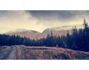 Beinn Dorain und Beinn an D'thaidh über Brücke von Orchy, original Fine Art Fotografie, Druck, Hochland, Landschaft, 8 x 12, Berg, Schottland