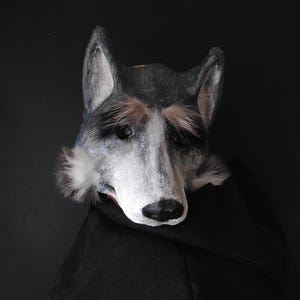 Maschera lupo, Maschera cane, Maschera animale, Maschera cartapesta, Maschera carnevale, Maschera bosco