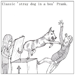 161 Carte d’anniversaire, Carte d’occasion générale, Carte d’art, carte obscure, carte bizarre, chien, chien errant, animaux de compagnie, farce, blague