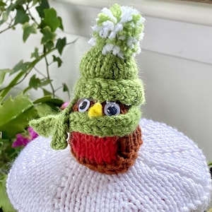 May include: A knitted robin wearing a green hat with a white pom-pom, a red scarf, and googly eyes. The robin is sitting on a white knitted lid.