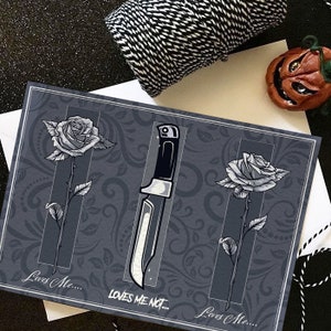 Loves Me, Loves me Not.... - alternative  valentines love card.
