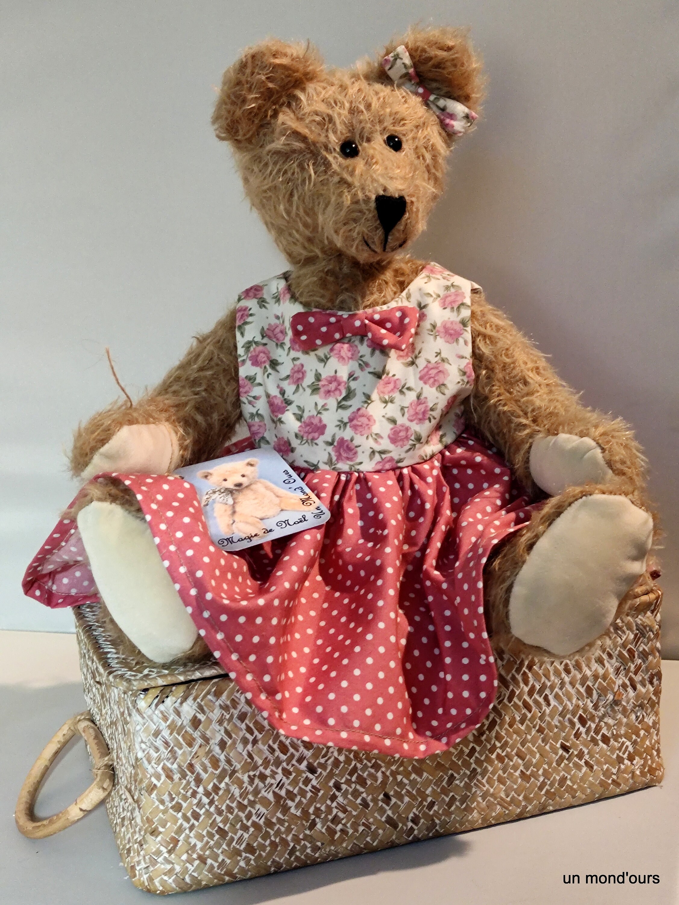 Ours De Collection Artiste OOAK - Mohair Ancien URSS - Habillé - 36 Cm