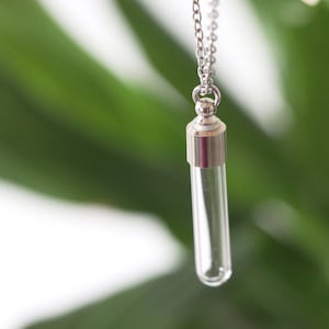 May include: A clear glass vial pendant necklace with a silver-colored metal cap and chain. The vial is suspended against a blurred green background, suggesting a natural setting. The necklace is a minimalist accessory.