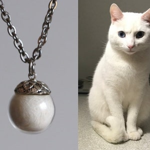 Fillable cat's hair lock urn necklace • Pet hair keepsake jewelry • Loss of pet memorial for fur or ashes • Personalized gifts for pet owner