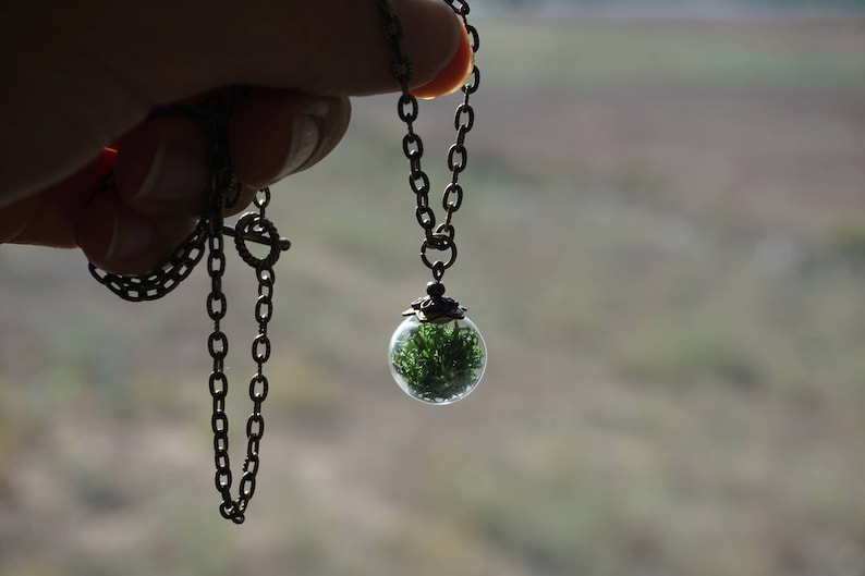 Moss Jewelry set for women Gift Box \u2022 Natural Jewelry \u2022 Terrarium Jewelry \u2022 Earthy Jewelry \u2022 Botanical Jewelry \u2022 Enchanted Forest Jewelry
