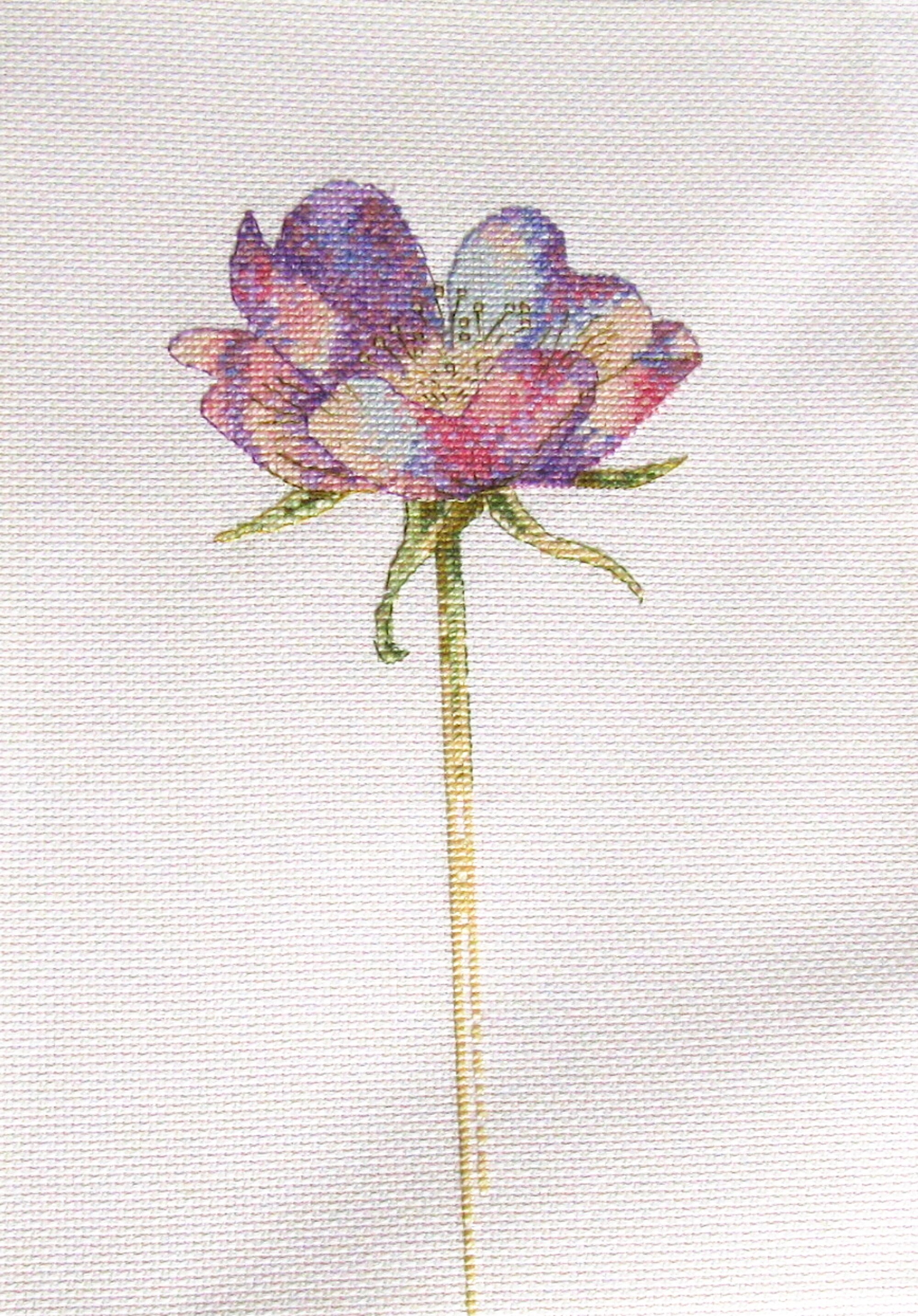 Broderie Fait Main Aux Points de Croix sur Toile Aïda Écru Motif Fleur