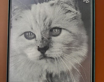 Karl Lagerfeld Miao signed photo on glass