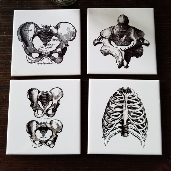 Vintage Bone Anatomy Illustarions Set of 4 ceramic coasters ~ Dark Decor ~ horror housewares