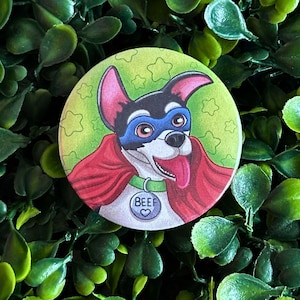 Puede incluir: Un botón redondo con una ilustración de un perro superhéroe. El perro lleva una máscara azul, una capa roja y un collar verde con el nombre "BEEF". El fondo es verde claro con estrellas.