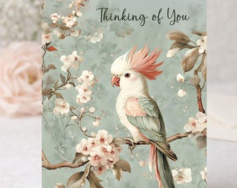 Greeting Cards