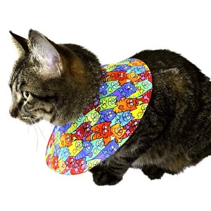 May include: A brown tabby cat wearing a colorful, cone-shaped Elizabethan collar with a pattern of cartoon cats. The collar is designed to prevent the cat from licking or scratching a wound.
